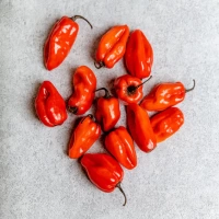 chilli